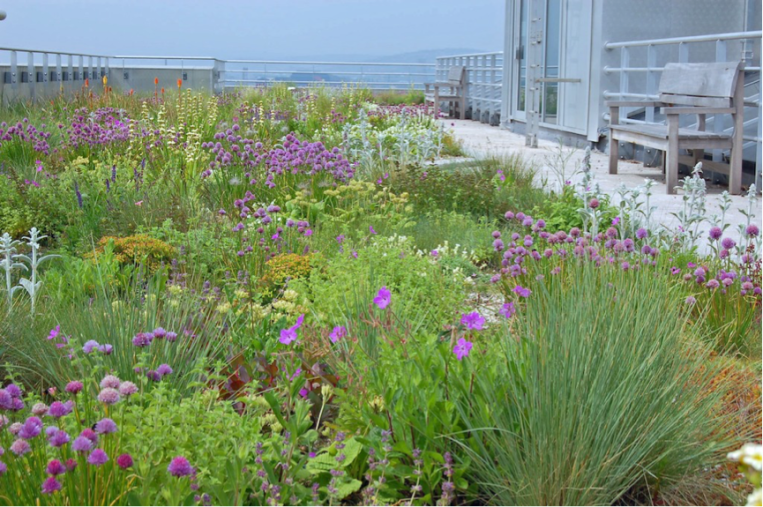 NigelGreenroofs