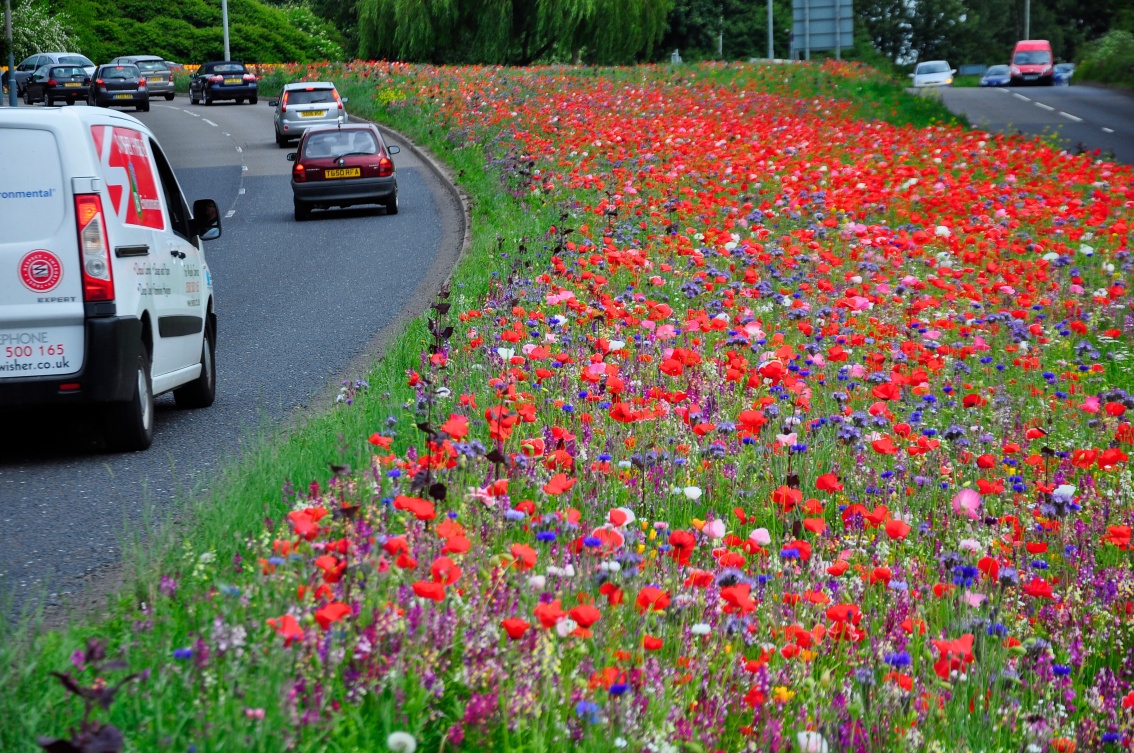 Planting Design as an Art Form