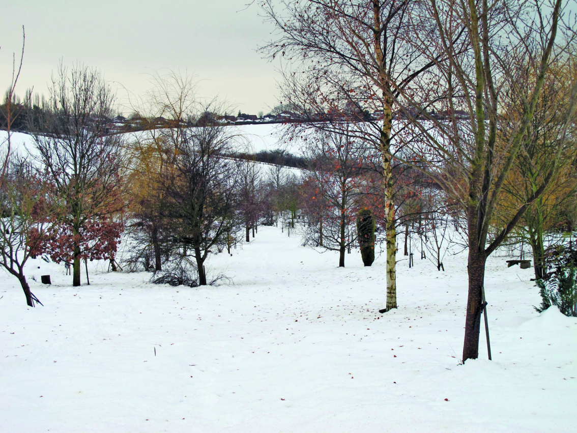 Documenting the Landscape of Natural Burial throughTime