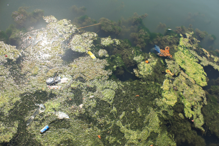 algae and debris in Sabarmati