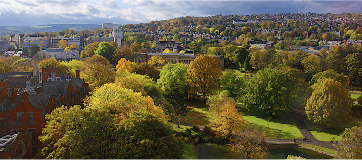 Statement on Sheffield’s trees from staff at the Department of Landscape