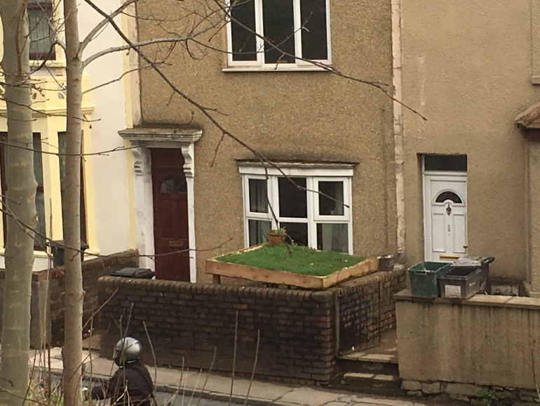 Green Roof home garden IMG_0263